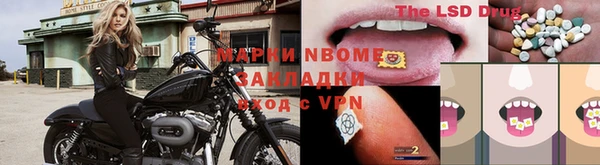 PSILOCYBIN Приозерск