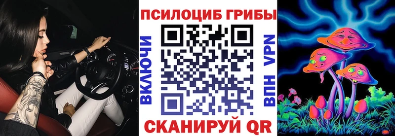 Псилоцибиновые грибы Cubensis  KRAKEN маркетплейс  Билибино 